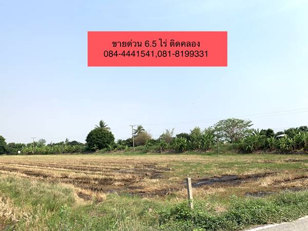 ขายด่วน! ที่ดินแปลงสวย อำเภอพุทธมณฑล นครปฐม 6.5 ไร่ ริมคลอง และติดถนน ทำหมู่บ้าน,โรงงาน,โกดัง